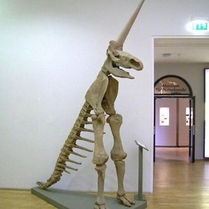 Meet your Posher, Alan